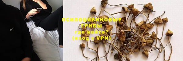 стафф Аркадак