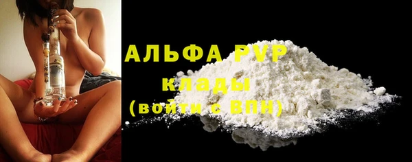 стафф Аркадак