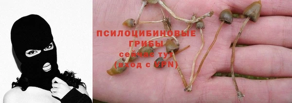 круглые Армянск