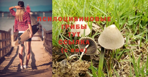 круглые Армянск