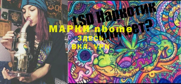 стафф Аркадак